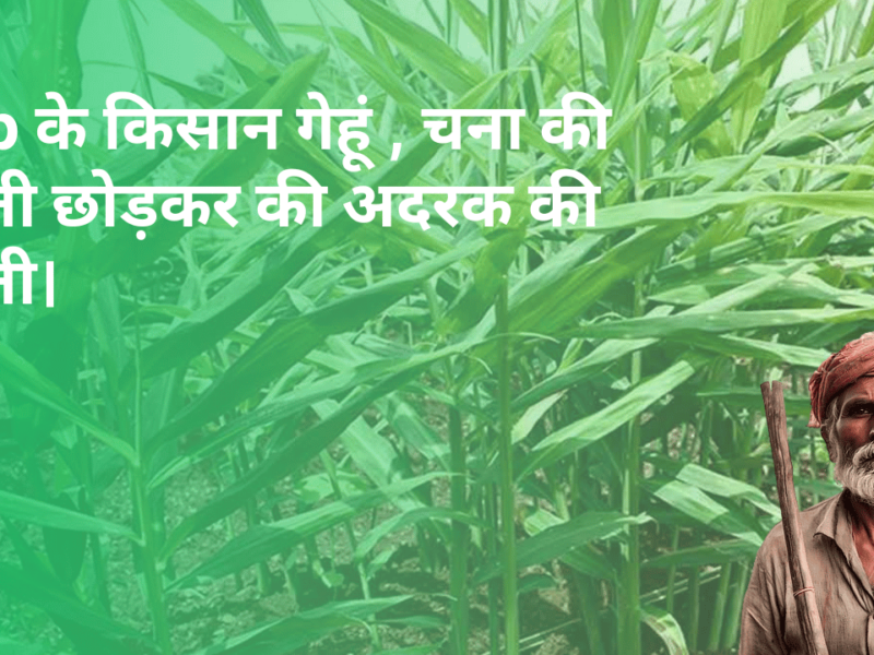 किसान